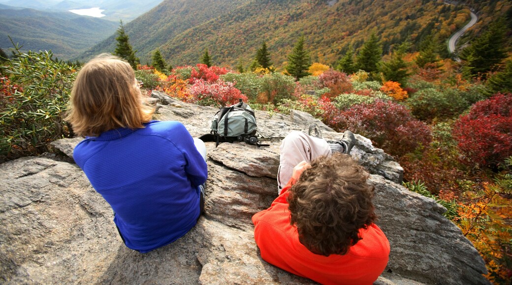 Blowing Rock