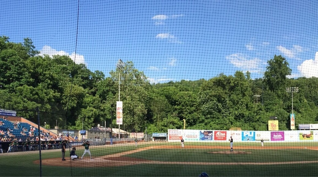 Asheville Tourists! Milb game on a beautiful afternoon.