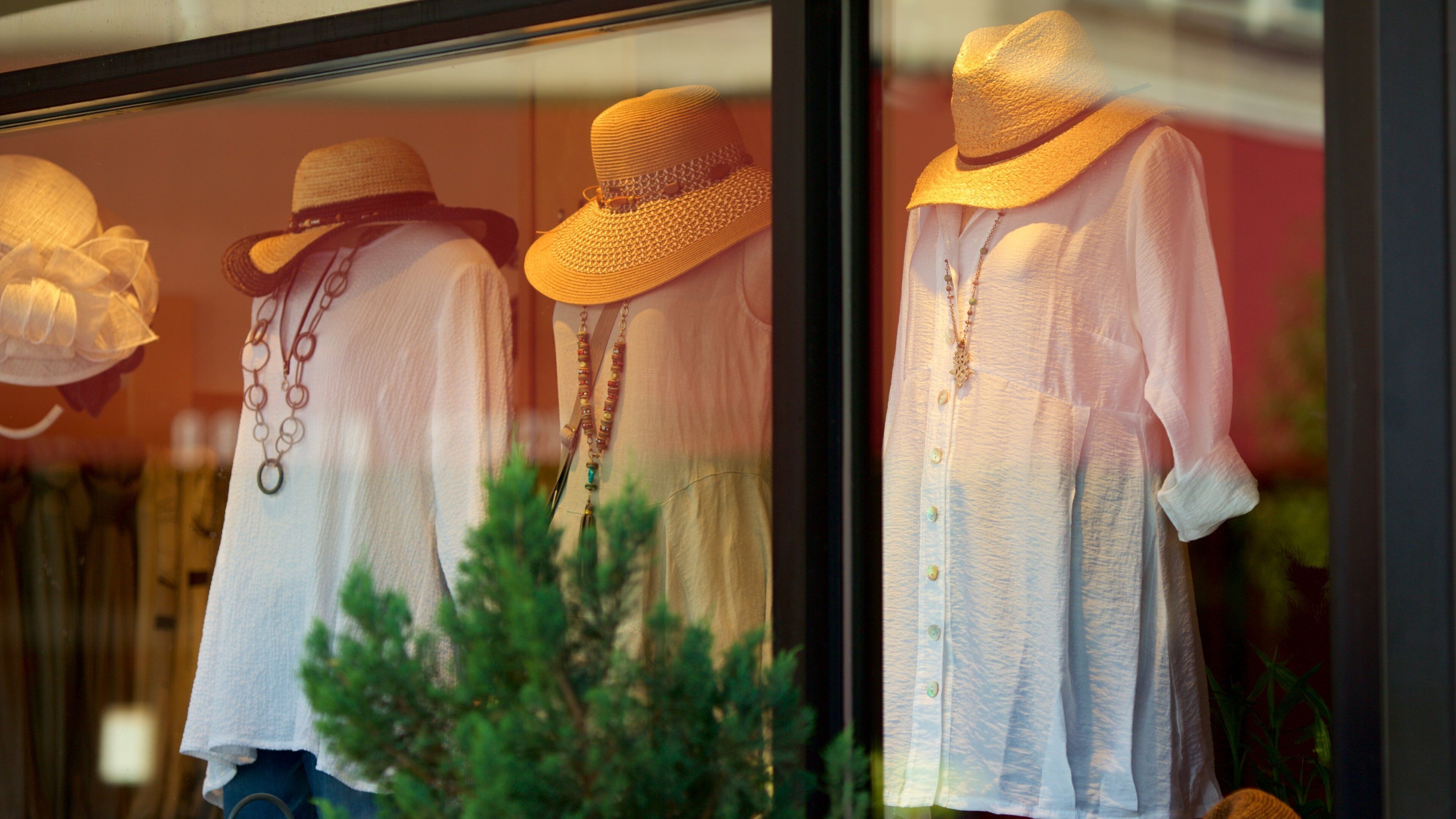 Asheville som omfatter shopping