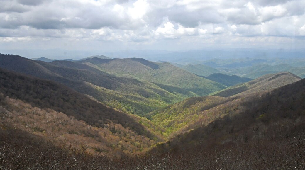 Beautiful views abound when you are driving the Blue Ridge Parkway.