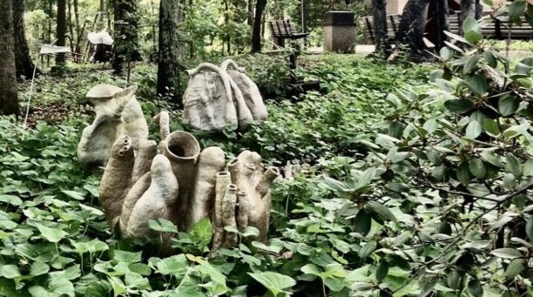 More art in the woods of unca.