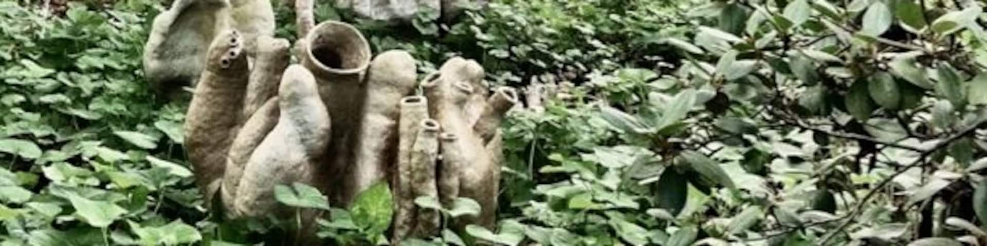 More art in the woods of unca.