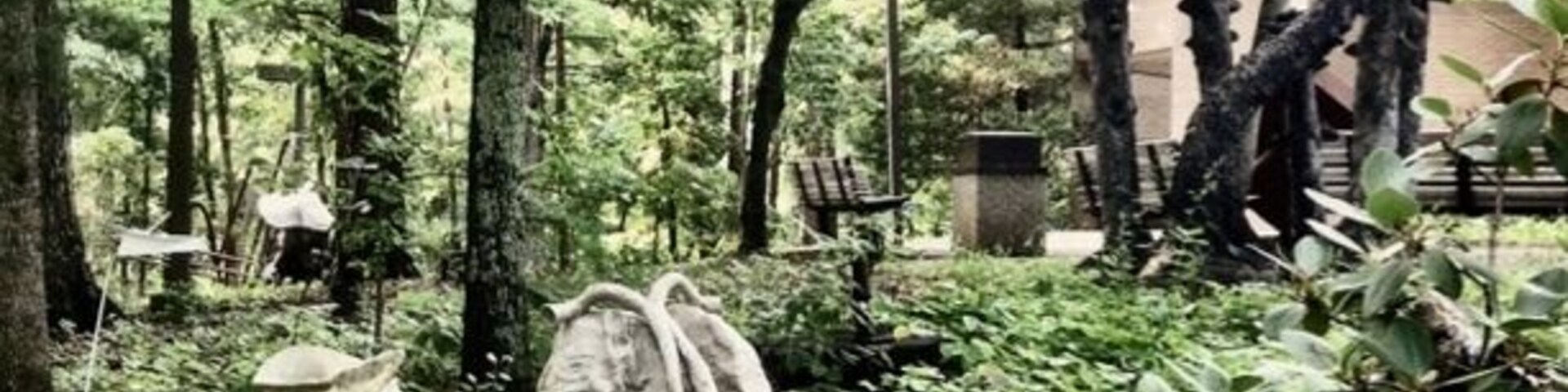 More art in the woods of unca.