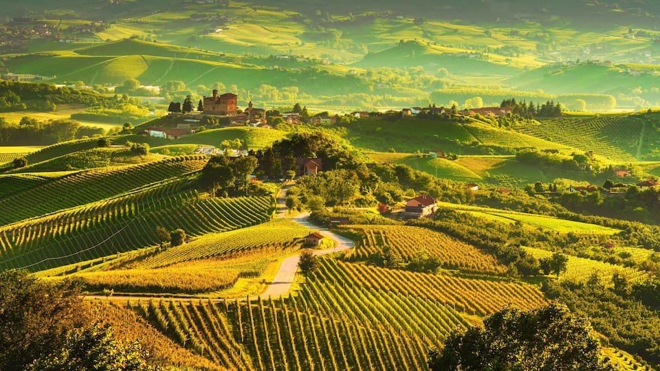Terraced vineyards, rolling hills, and a historic building in a rural landscape.
