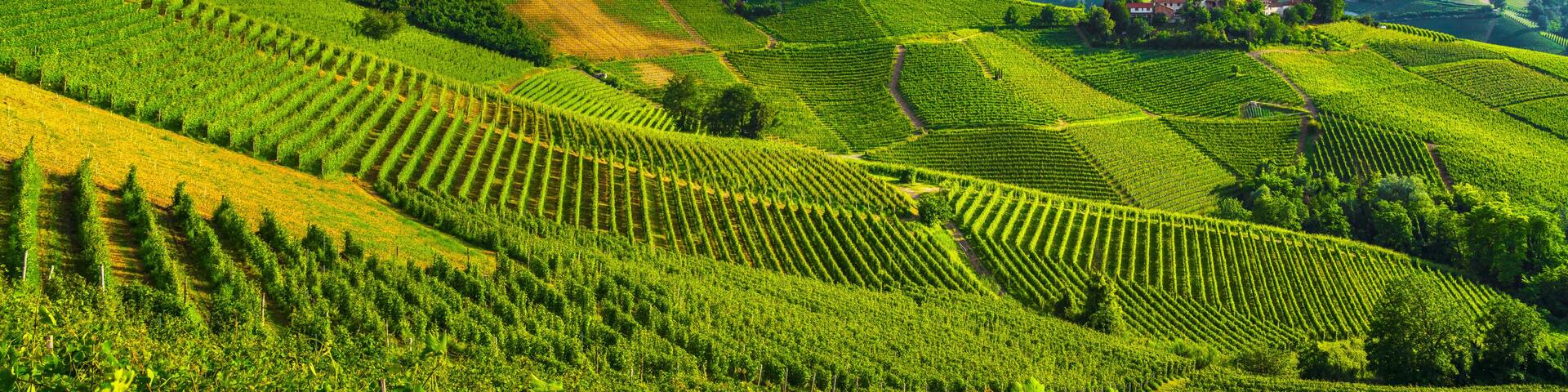 Terraced vineyards, a historic town with a church tower, and rolling hills under a clear sky.