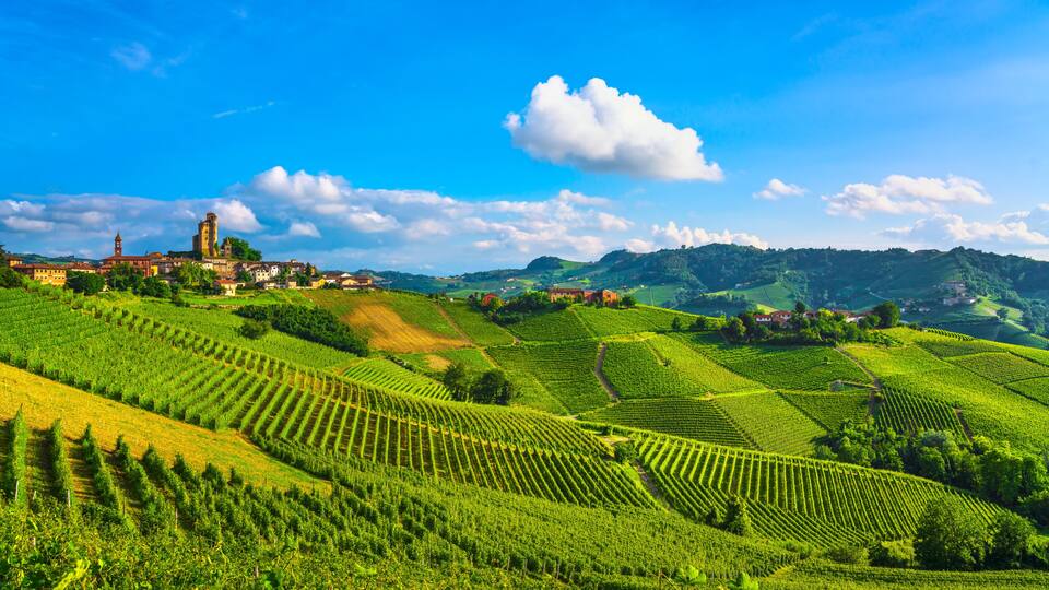 Terraced vineyards, a historic town with a church tower, and rolling hills under a clear sky.