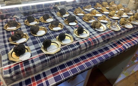 Cheap Flights to Alba1