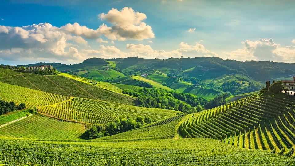 Terraced vineyards, rolling hills, and a building on a hillside.
