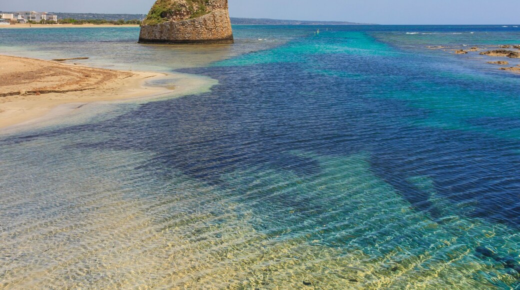Salento coast: Torre Pali beach (Lecce). ITALY (Apulia).The low sandy coastline is charactherized by dunes covered with Mediterranean scrub.Its name comes from the sixteenth-century watchtower.