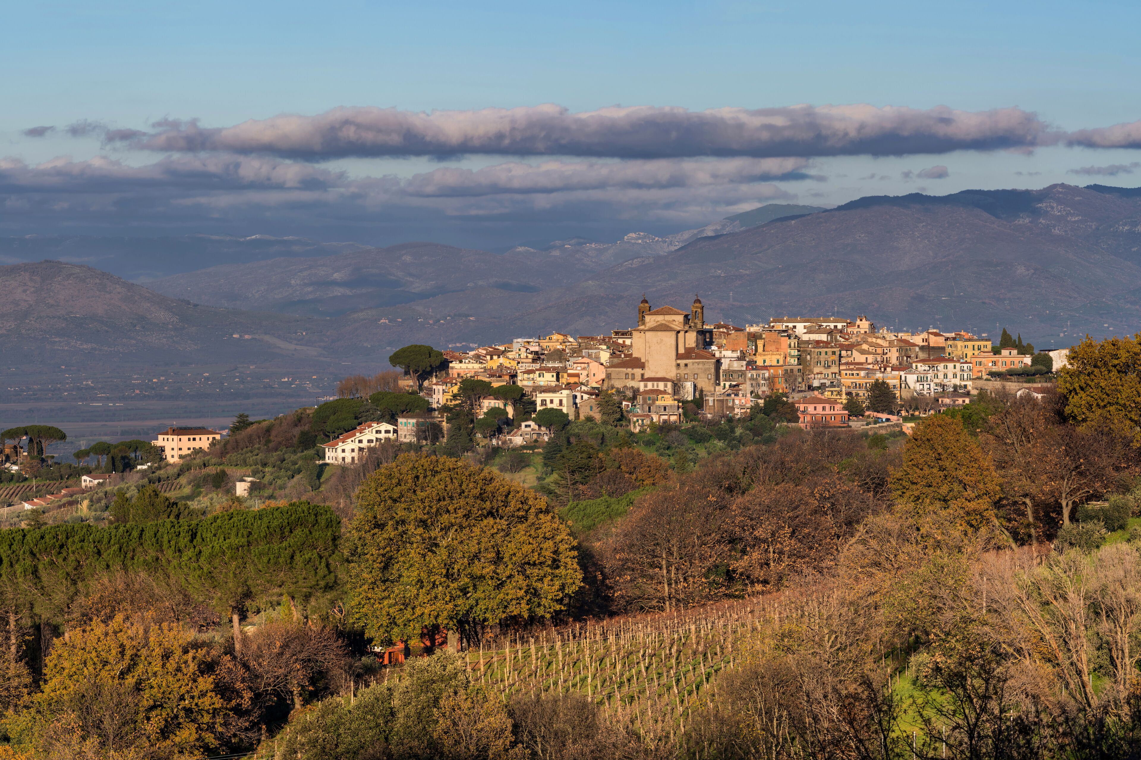 A coastal town with historic buildings, vineyards, and mountains in the background.