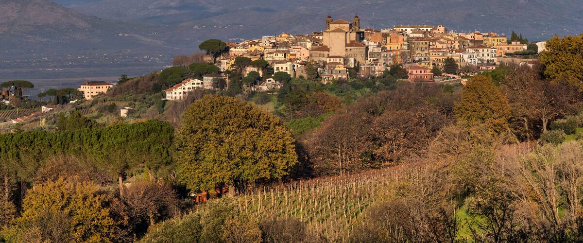 A coastal town with historic buildings, vineyards, and mountains in the background.