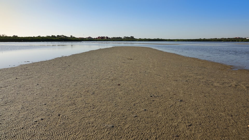 A wide sandy beach with calm water, a clear sky, and distant buildings on the horizon.