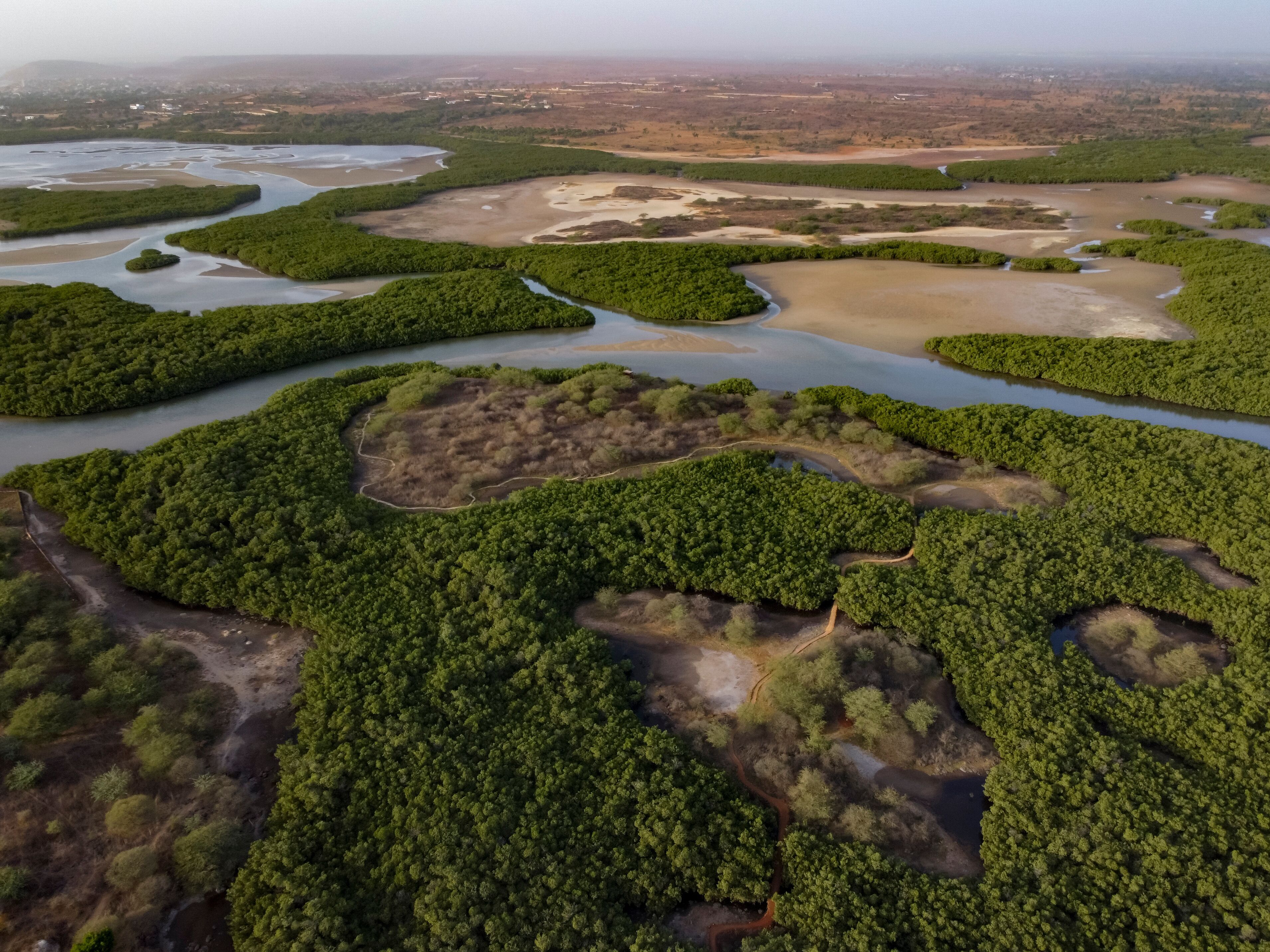 Luftbild des Somone Deltas mit Mangroven und Wattbereichen im Senegal