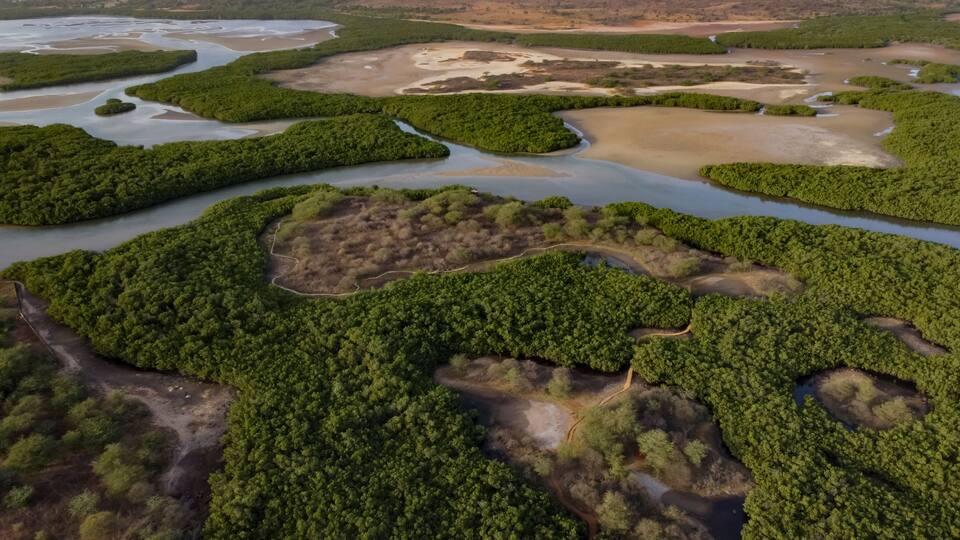 A river meandering through a dense forest with patches of open land and a distant cityscape.