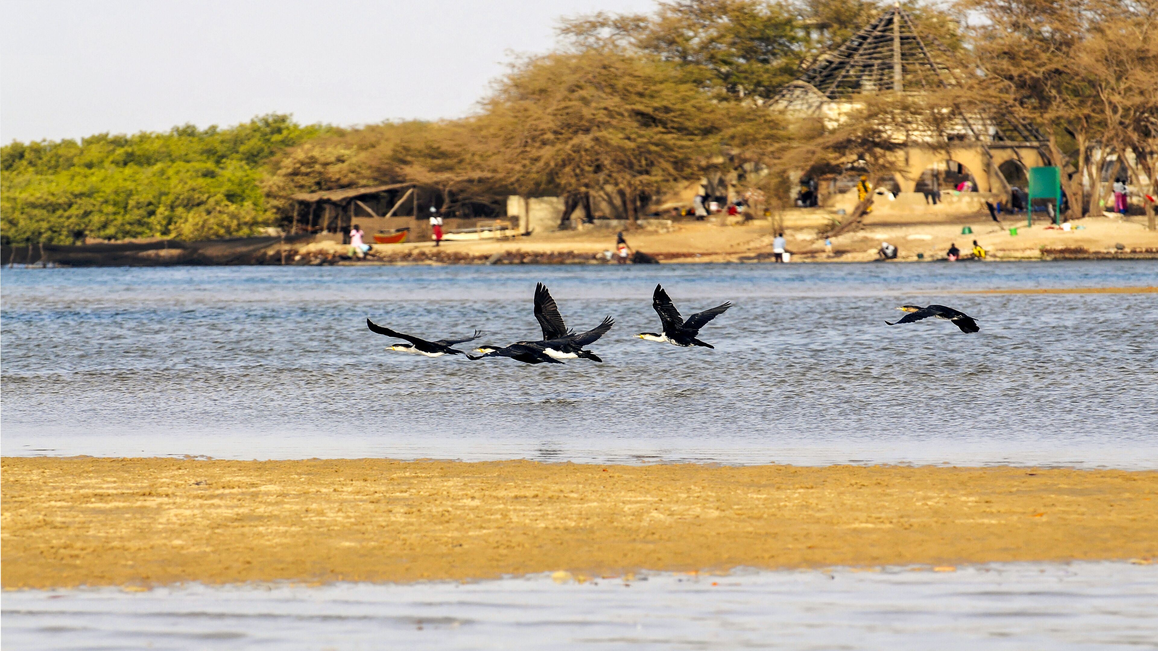 A river with birds flying over the water, a sandy beach, and a structure with a pyramid-like roof in the background.