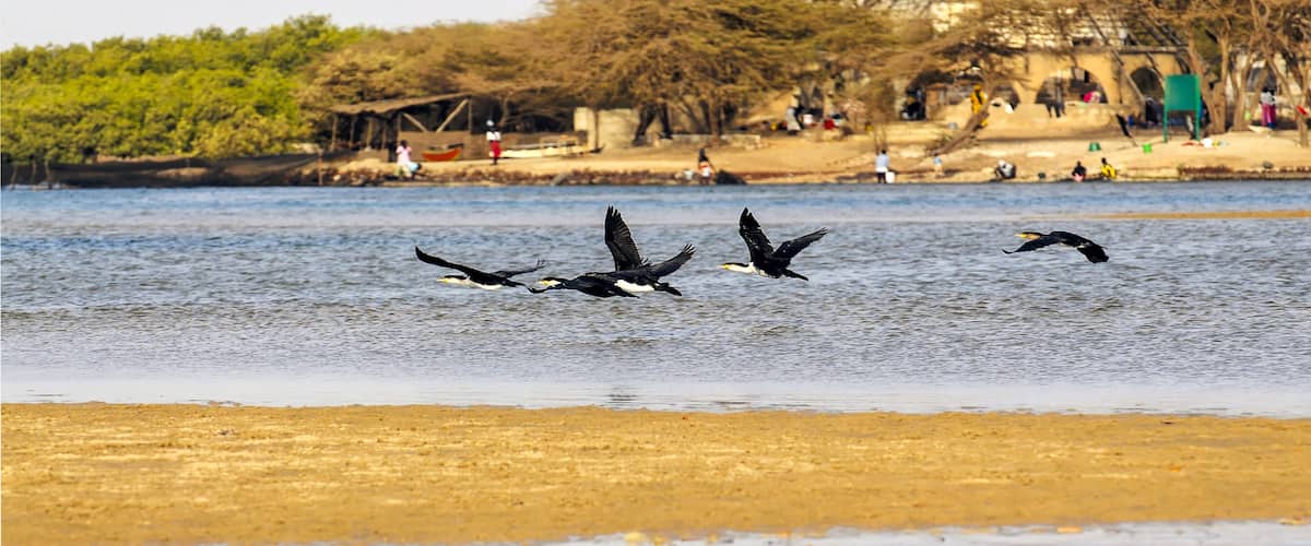 A river with birds flying over the water, a sandy beach, and a structure with a pyramid-like roof in the background.