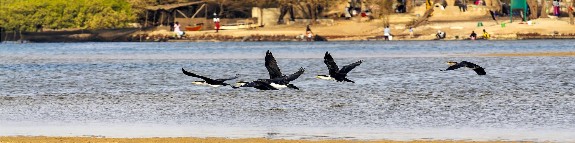 A river with birds flying over the water, a sandy beach, and a structure with a pyramid-like roof in the background.