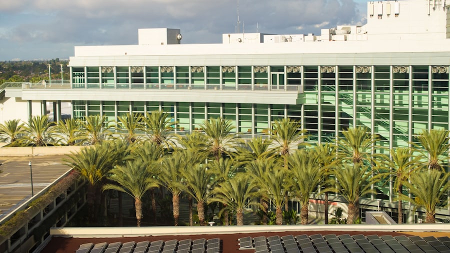 Modern architecture of convention center in California surrounded by palm trees.