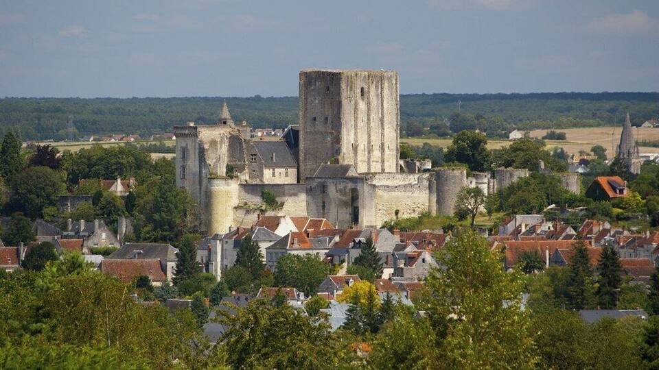 A historic castle surrounded by a town with red-roofed houses.