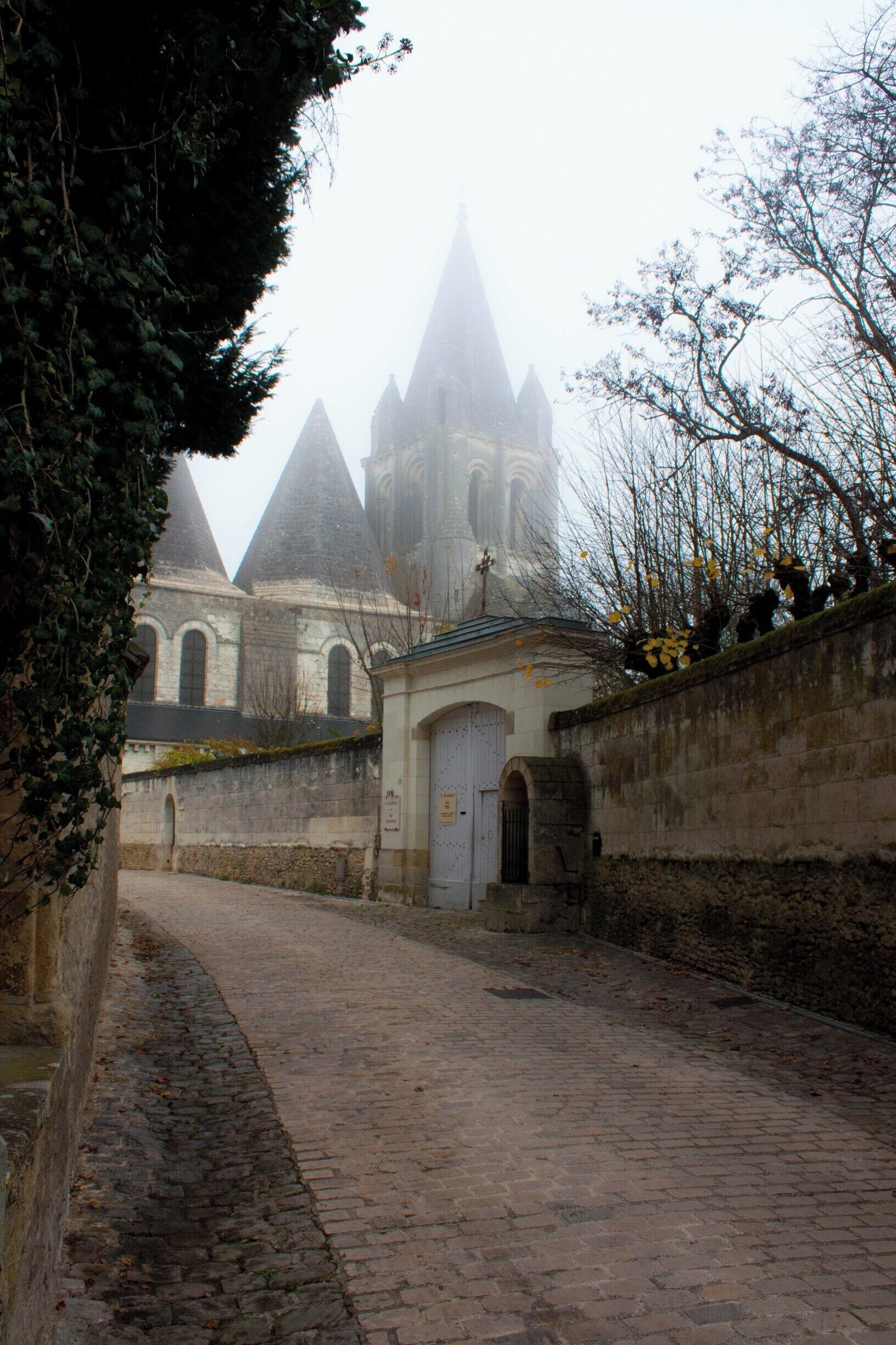 The medieval township of Loches, on a misty foggy day...