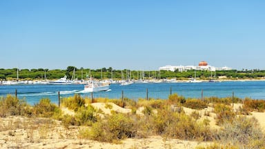 Escena costera con barcos, una playa arenosa y un edificio grande con cúpula.