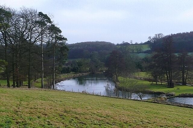 River Chess Below Latimer Park Farm, which has a lake formed from the River Chess, it appears that another small lake has been created here, as the river is wider than one would expect.
