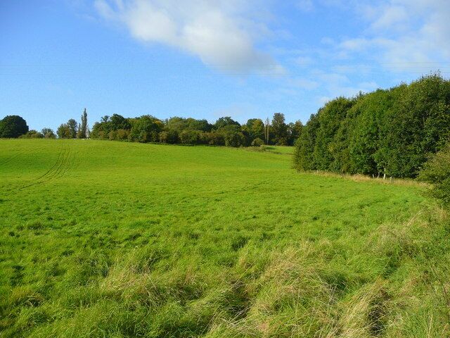 Un campo verde con seto y árboles al fondo.