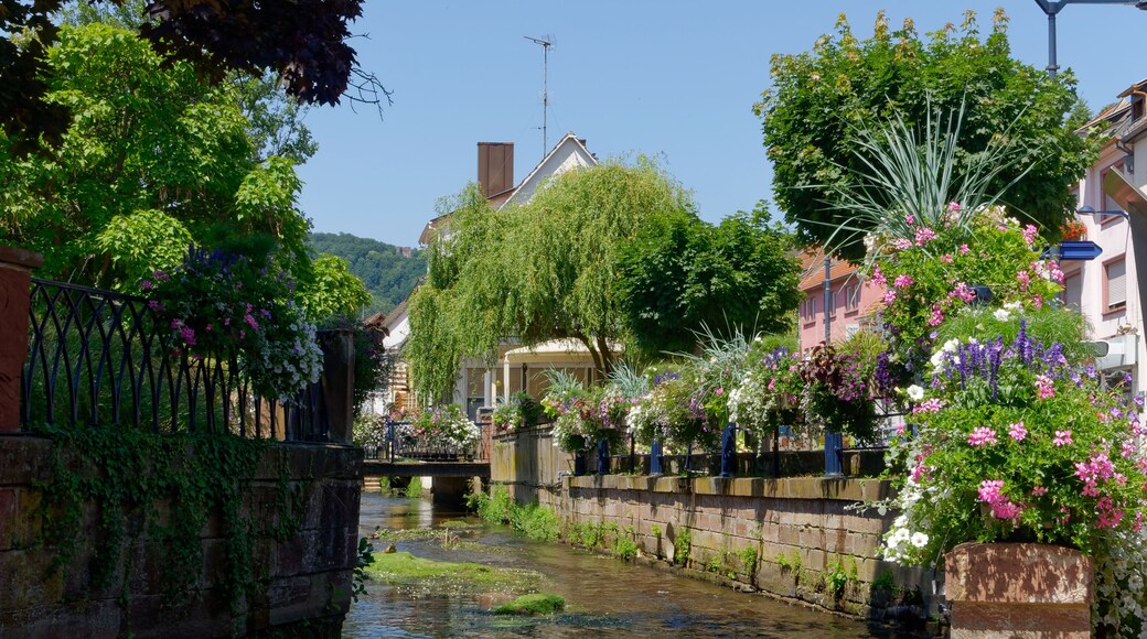 Niederbronn-les-Bains