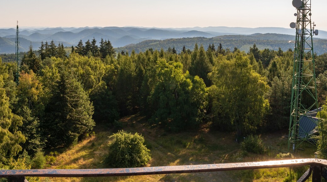 Niederbronn-les-Bains