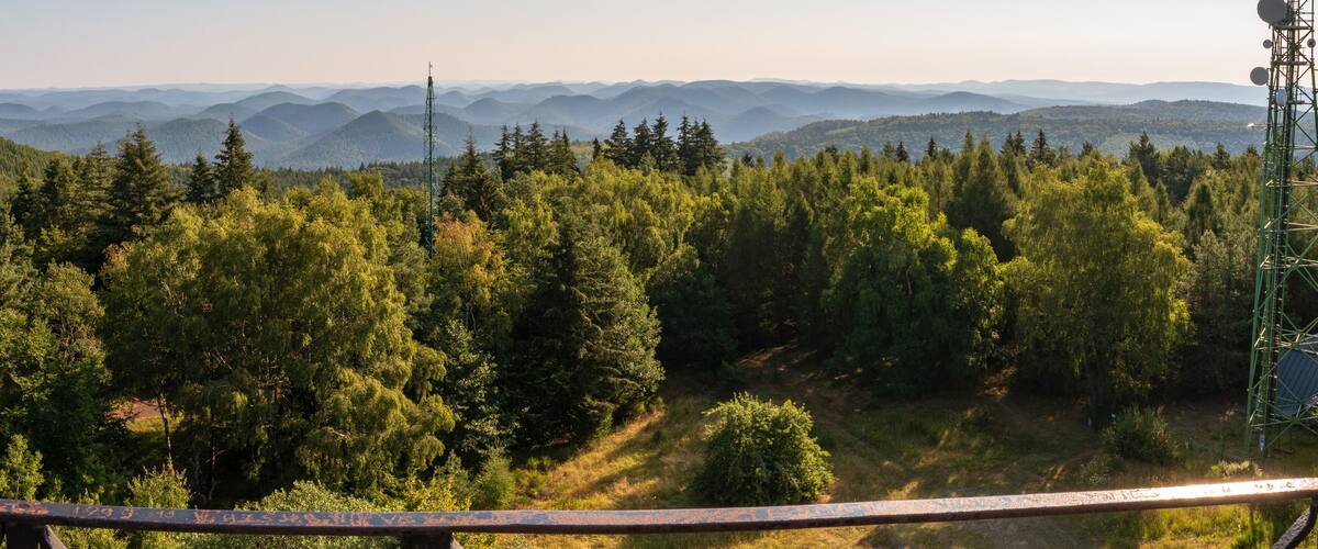A forested mountain landscape with a communication tower.