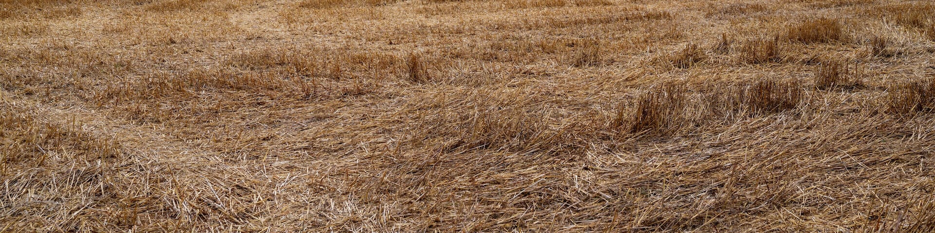 Agriculture field with round bales in Hallsberg Sweden