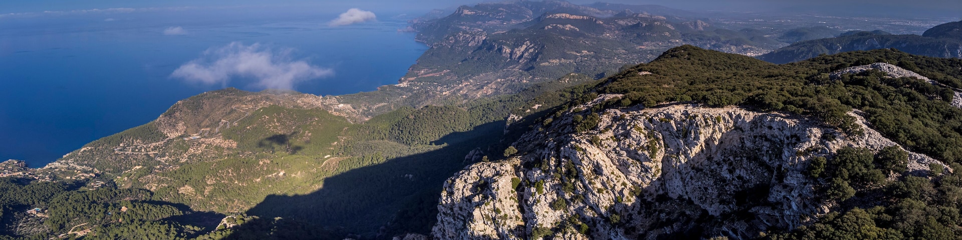 native oak forest of the Tramuntana mountain range, Planícia forest, border between the municipalities of Banyalbufar, Esporles and Puigpunyent. Mallorca, Balearic Islands, Spain