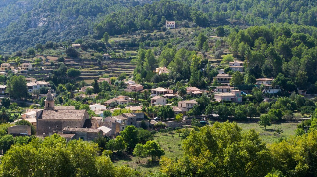 Puigpunyent ,Majorca