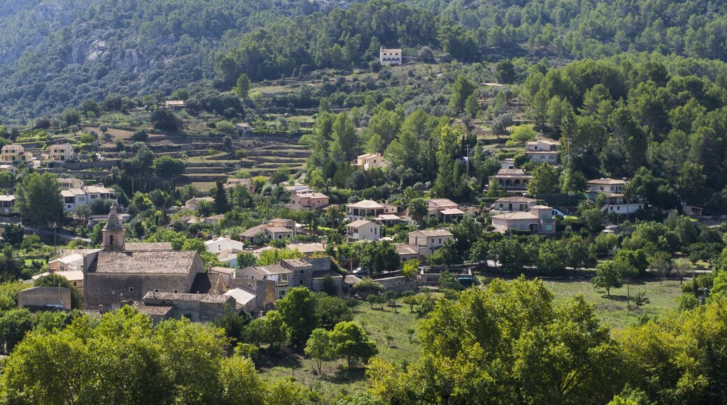Puigpunyent ,Majorca