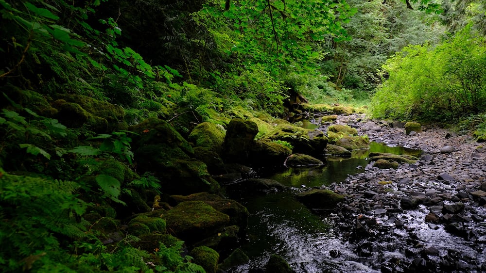 Beaver Creek - Clatskanie, OR