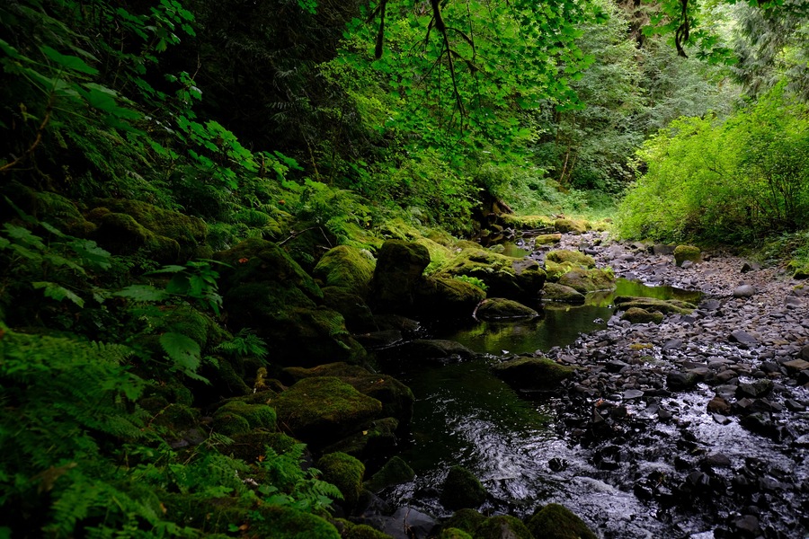 Beaver Creek - Clatskanie, OR