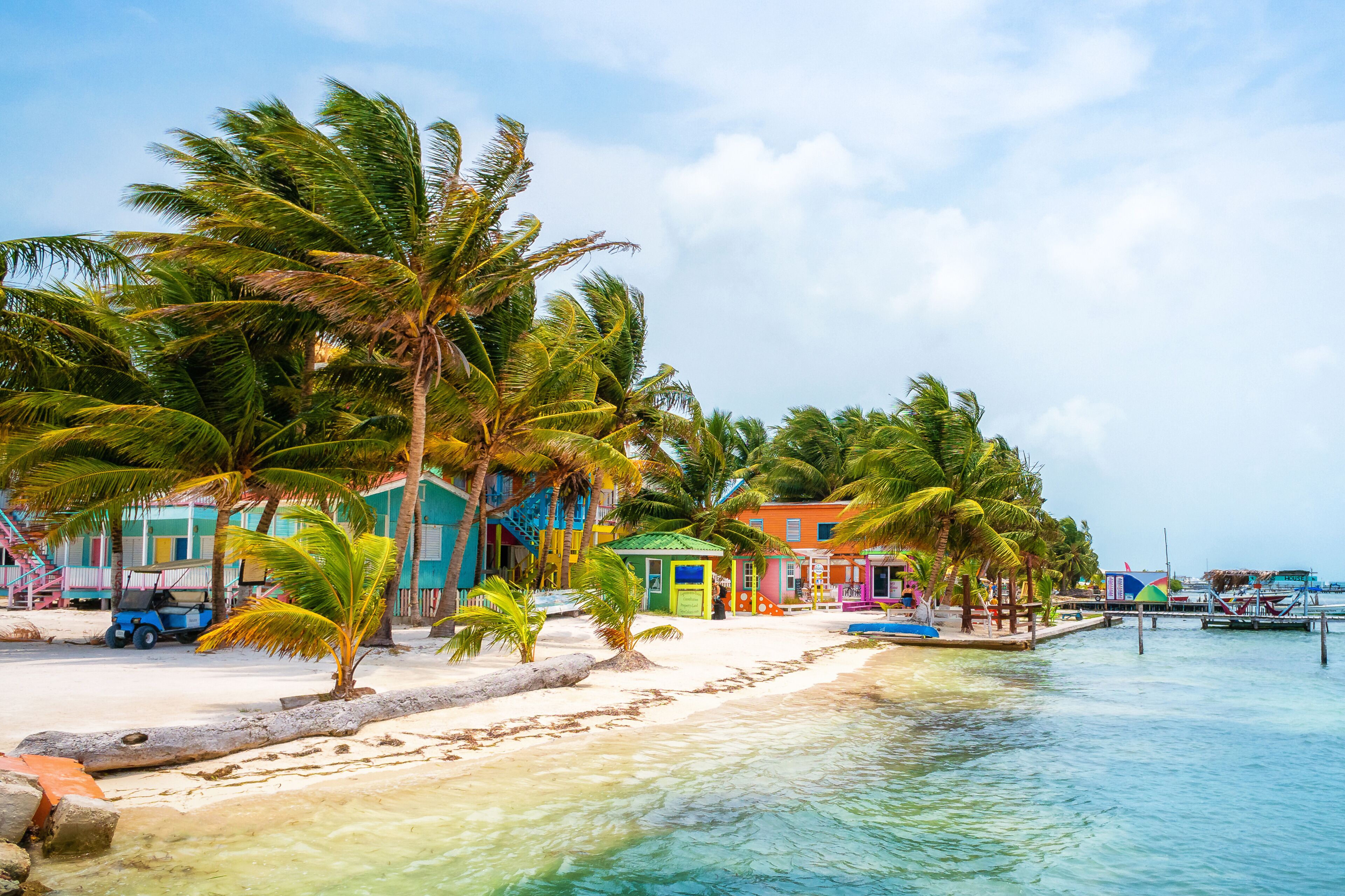 A beach with palm trees, colorful buildings, and a clear blue sky.