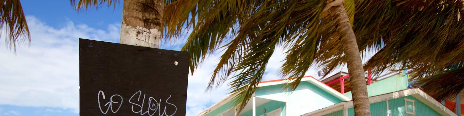 Caye Caulker featuring a coastal town and signage