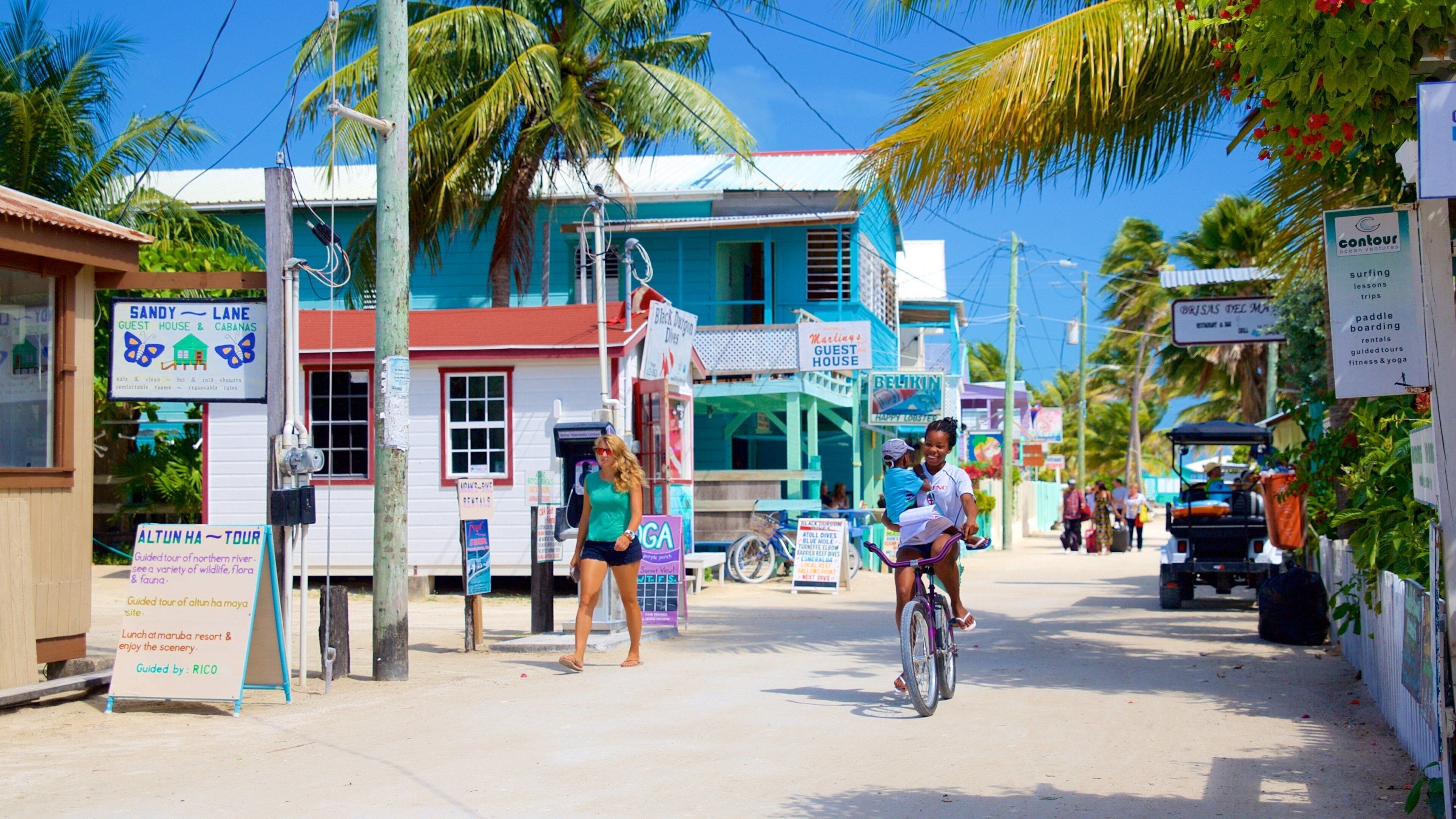 A street with buildings, palm trees, and signs for guest houses and tours.