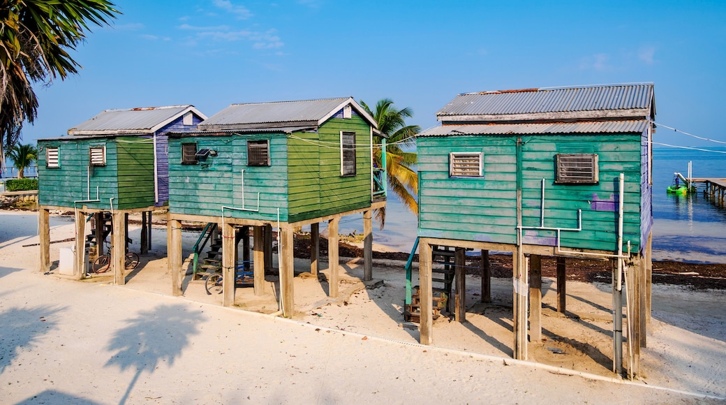 Belize District