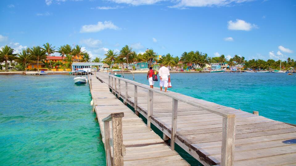 A wooden pier extending into turquoise waters, with people walking along it. Palm trees and colorful buildings line the shore.