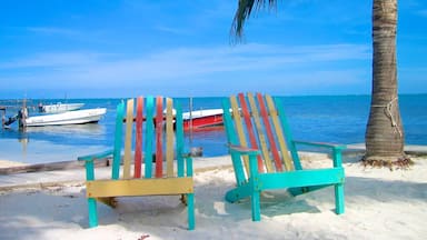 Caye Caulker showing a beach