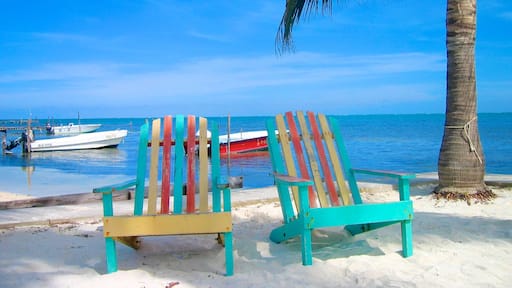 Caye Caulker showing a beach