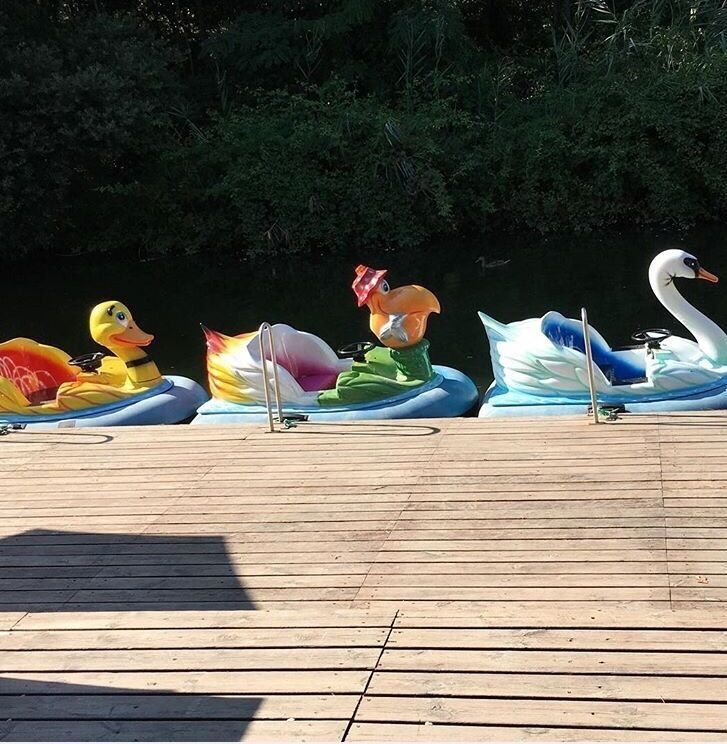 Cute boats on the canal . 