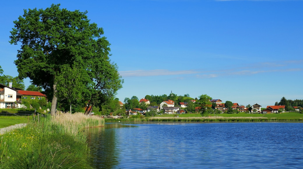 Bayersoien