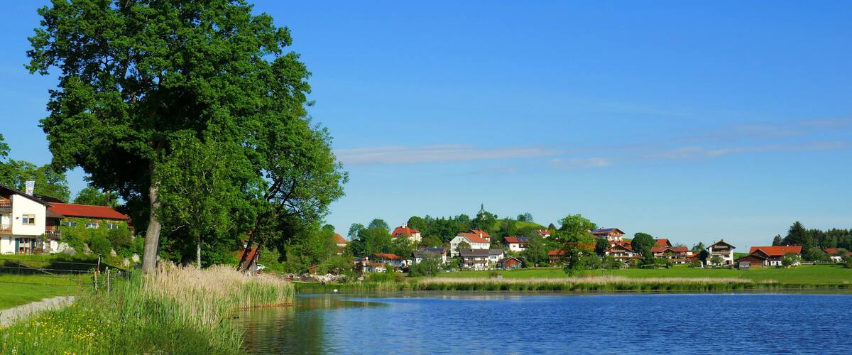 A calm lake with a large tree on the left, a row of houses with red roofs in the background, and a clear blue sky.