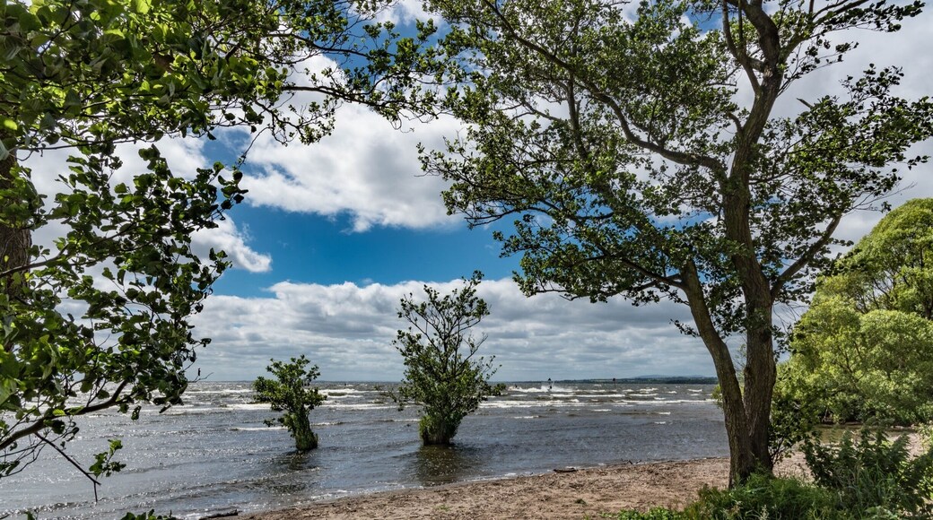 Antrim Lough Shore Park, June 2017