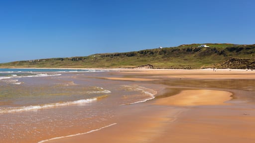 White Park Bay beach in Northern Ireland