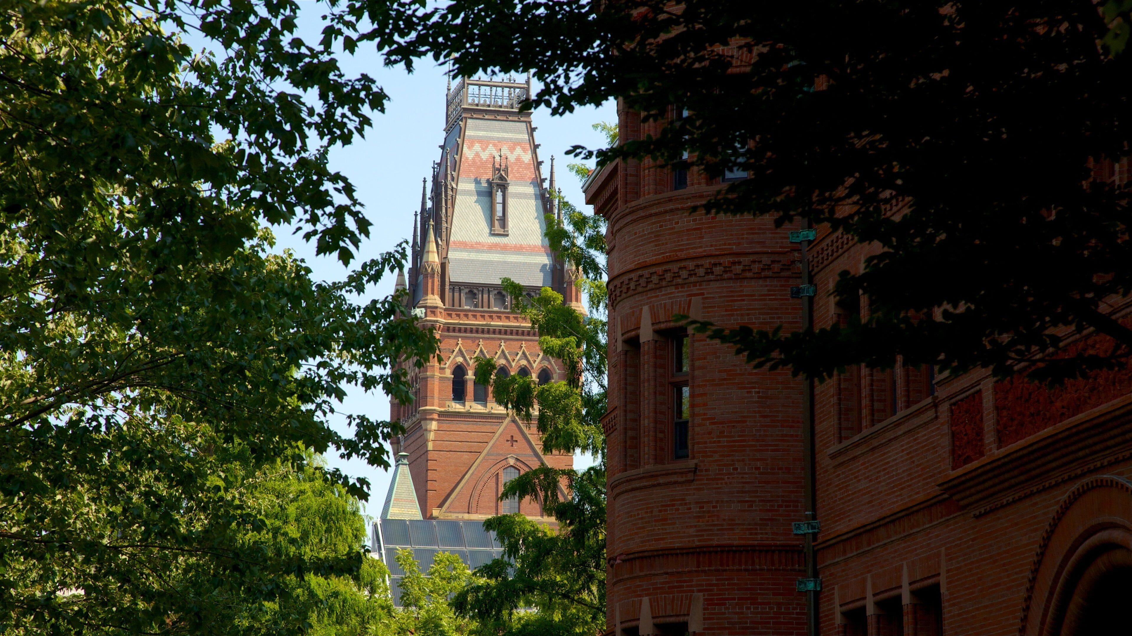 Harvard University showing heritage elements
