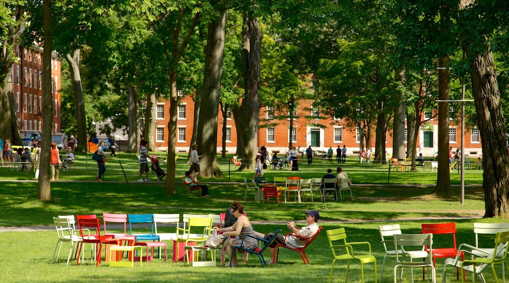 Harvard University which includes a garden as well as a small group of people